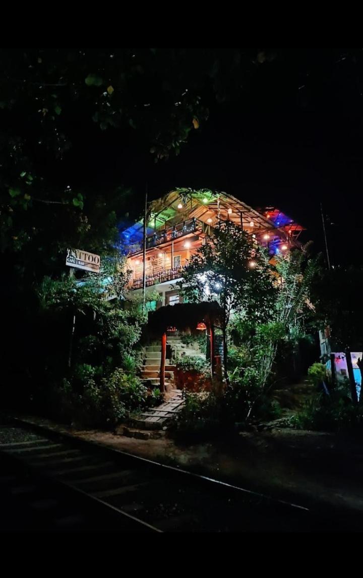 Hostal Tree House 埃拉 外观 照片
