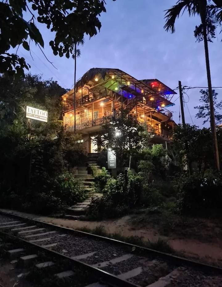 Hostal Tree House 埃拉 外观 照片