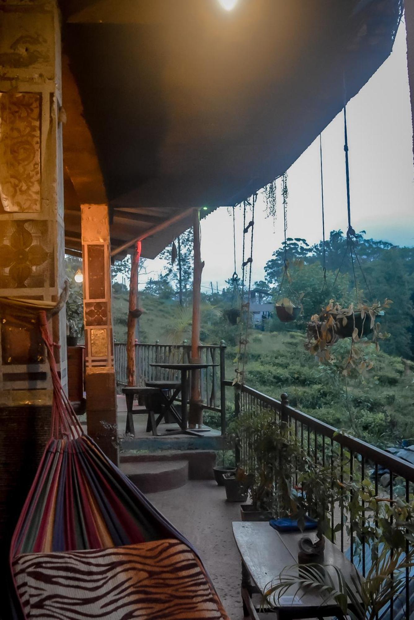 Hostal Tree House 埃拉 外观 照片