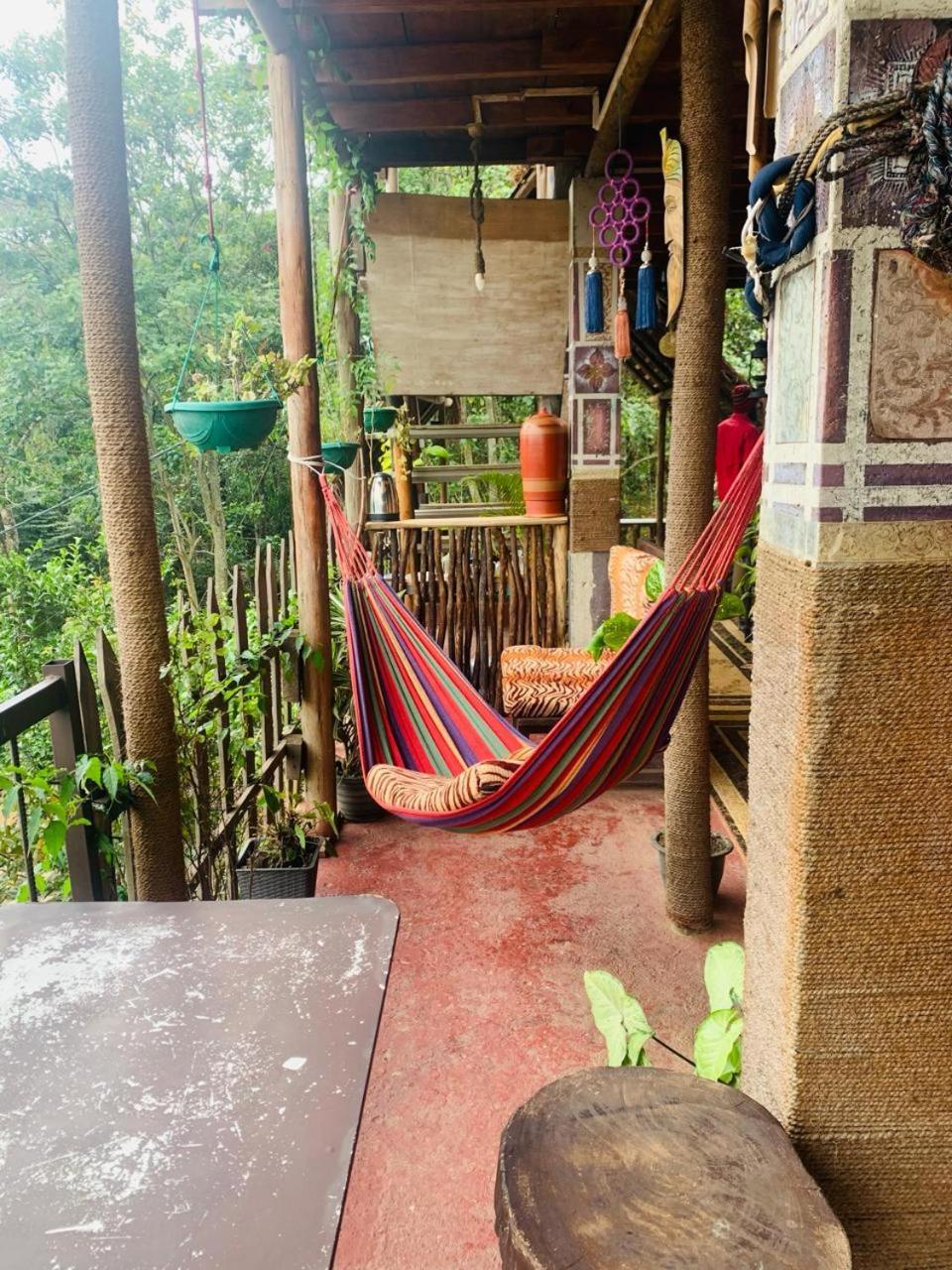Hostal Tree House 埃拉 外观 照片