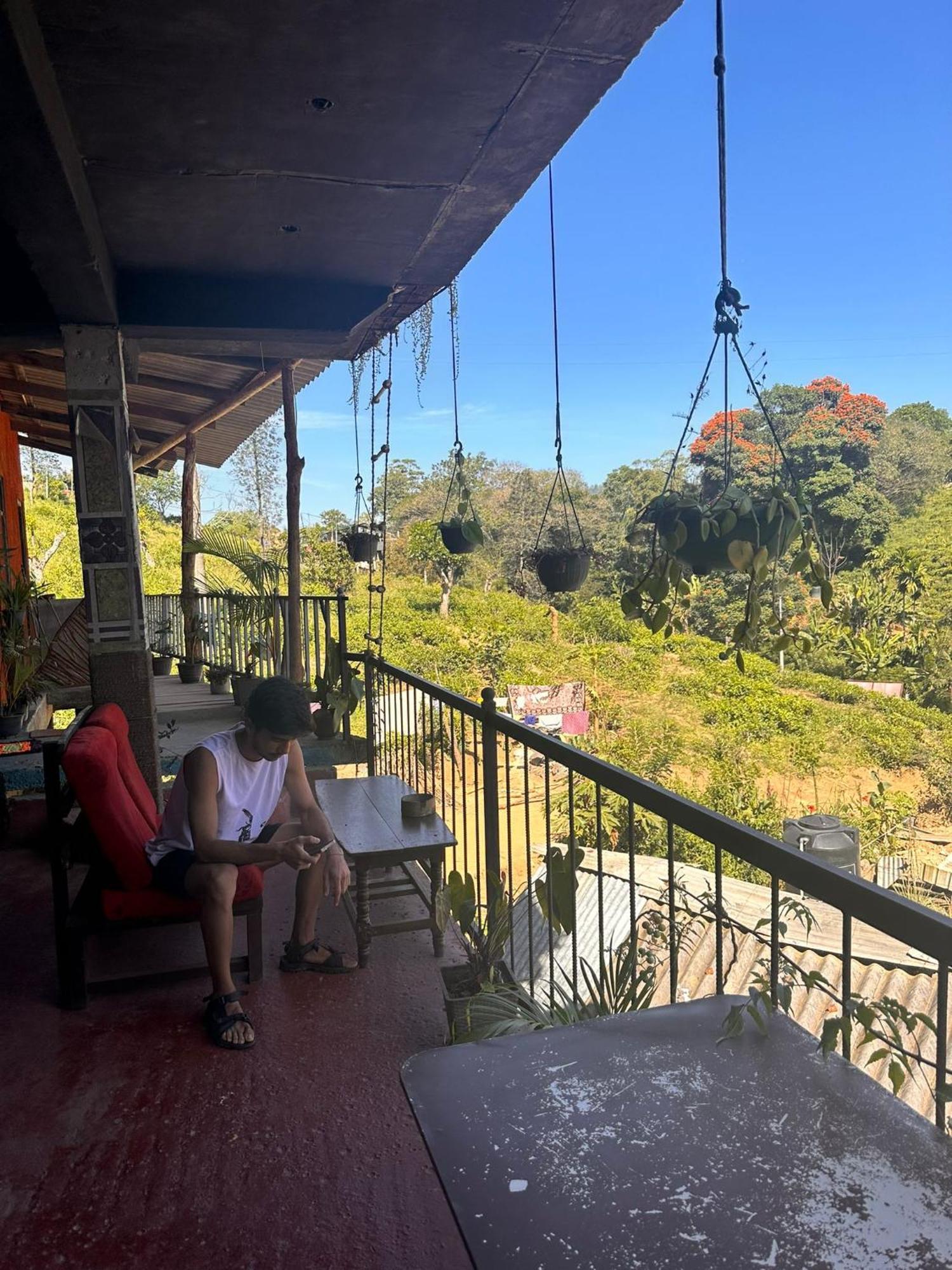 Hostal Tree House 埃拉 外观 照片